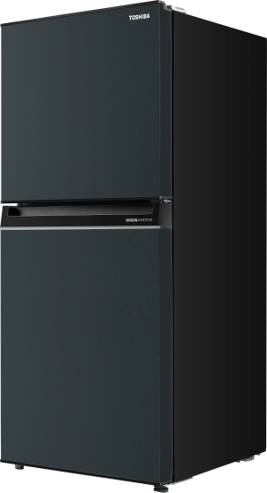 TOSHIBA GR-RT234WE-PMX(52) 179L 2-DOOR FRIDGE | REFRIGERATOR